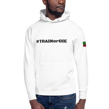 Load image into Gallery viewer, Men&#39;s &quot;Train or Die&quot; Hoodie
